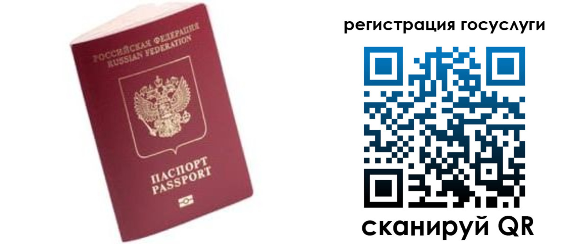 прописка поиск в Елизово